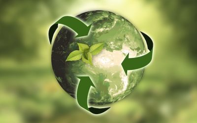 Engagement écologique : la filière VALDELIA pour un avenir durable
